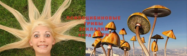 PSILOCYBIN Верхний Тагил