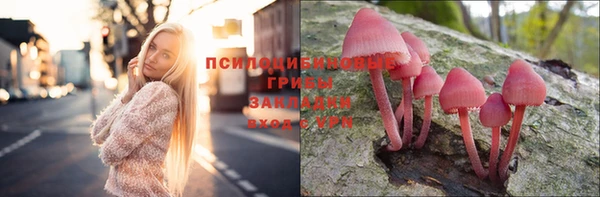 PSILOCYBIN Верхний Тагил