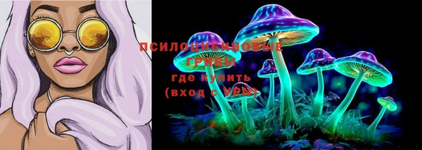 PSILOCYBIN Верхний Тагил