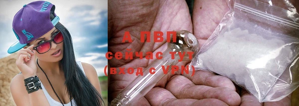 винт Верея