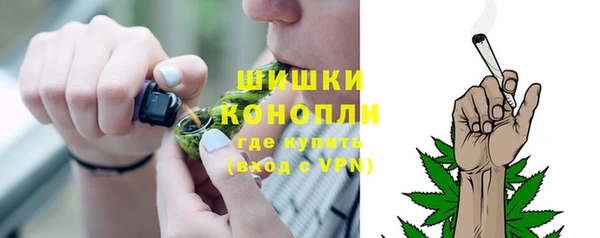 винт Верея