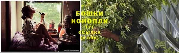 винт Верея