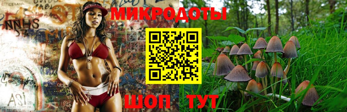 Галлюциногенные грибы Magic Shrooms  Вход с VPN  Выборг 